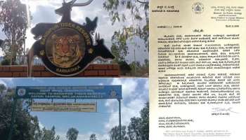 ಹುಲಿ ದಾಳಿಗೆ ಮತ್ತೋರ್ವ ಬಲಿ: ಇಂದಿನಿಂದಲೇ ನಾಗರಹೊಳೆ, ಬಂಡೀಪುರ ಸಫಾರಿ, ಬಂದ್ 