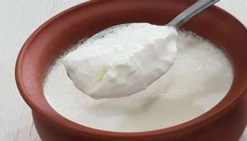 ಮೊಸರಿಗೆ ಇದನ್ನು ಬೆರೆಸಿ ಊಟದ ನಂತರ ತಿಂದರೆ ಶುಗರ್‌ ಹೆಚ್ಚಾಗಲ್ಲ! ಹಾರ್ಟ್‌ ಅಟ್ಯಾಕ್‌ ಕೂಡ ಬರೋದಿಲ್ಲ 