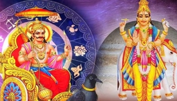 ಶನಿಯ ನೇರ ಸಂಚಾರದಿಂದ ವಿಪರೀತ ರಾಜಯೋಗ: ಈ ಮೂರು ರಾಶಿಯವರ ಅದೃಷ್ಟ ಚಿನ್ನದಂತೆ ಹೊಳೆಯಲಿದೆ