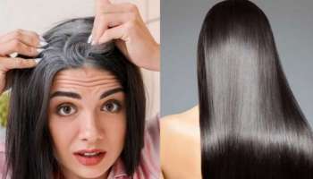 ನೀವು ಕಸ ಎಂದು ಬಿಸಾಡುವ ಈ ವಸ್ತುವಿನಿಂದ ನ್ಯಾಚುರಲ್ ಆಗಿ ಜಡದಿಂದ ಕಪ್ಪಾಗುತ್ತೆ ಬಿಳಿ ಕೂದಲು 