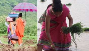 ಖಿನ್ನತೆಯಿಂದ ಸಿನಿರಂಗವನ್ನೇ ತೊರೆದು ವ್ಯವಸಾಯ ಮಾಡುತ್ತಿರುವ ಖ್ಯಾತ ನಟಿ! ಉಳುಮೆಯನ್ನೇ ನಂಬಿ ಜೀವನ ನಡೆಸುತ್ತಿರುವ ಸ್ಟಾರ್..‌ 