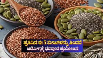 ಪ್ರತಿದಿನ ಈ 5 ಬೀಜಗಳನ್ನು ತಿಂದರೆ ಆರೋಗ್ಯಕ್ಕೆ ಭರಪೂರ ಪ್ರಯೋಜನ 