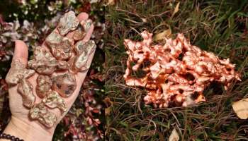 ಭವಿಷ್ಯದಲ್ಲಿ ಚಿನ್ನ ಬೆಳ್ಳಿಯಲ್ಲ, ಈ ಲೋಹದ ಮೇಲೆ ಹೂಡಿಕೆ ಮಾಡಿದ್ರೆ ಸಿಗುತ್ತೆ ಭಾರೀ ಲಾಭ! ಶ್ರೀಮಂತರ ಏಕೈಕ ಆಯ್ಕೆಯಿದು