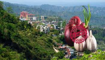 ಈರುಳ್ಳಿ, ಬೆಳ್ಳುಳ್ಳಿ ಬ್ಯಾನ್‌ ಮಾಡಿರುವ ಭಾರತದ ಏಕೈಕ ನಗರವಿದು..! ಇಲ್ಲಿನ ಜನರ ಆಹಾರ ಪದ್ದತಿಯೇ ವಿಚಿತ್ರ