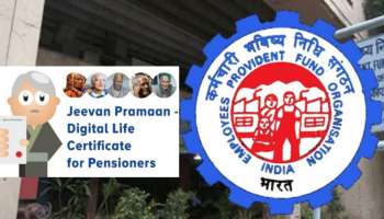 EPFO: ಪಿಂಚಣಿದಾರರಿಗೆ ಹೊಸ ಸೌಕರ್ಯ 'ಡಿಜಿಟಲ್ ಲೈಫ್ ಸರ್ಟಿಫಿಕೇಟ್' ಸಲ್ಲಿಸಲು ಇಲ್ಲಿದೆ ಸುಲಭ ಮಾರ್ಗ 