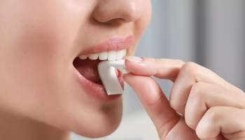 ಚೂಯಿಂಗ್ ಗಮ್ ನುಂಗಿದರೆ ಏನಾಗುತ್ತದೆ? ಇದರ ತಯಾರಿಕೆಯಲ್ಲಿ ಬಳಸುವ ವಸ್ತುಗಳ ಹೆಸರು ಕೇಳಿದ್ರೆ ಶಾಕ್‌ ಆಗ್ತೀರಾ 