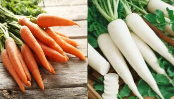 ಕ್ಯಾರೆಟ್ vs ಮೂಲಂಗಿ ಈ ಪೈಕಿ ಆರೋಗ್ಯಕ್ಕೆ ಹೆಚ್ಚು ಉತ್ತಮ: ಇಲ್ಲಿದೆ ಮಾಹಿತಿ