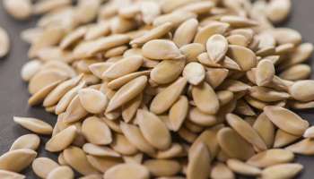 ದಿನಕ್ಕೊಮ್ಮೆ ಈ ಹಣ್ಣಿನ ಬೀಜ ತಿಂದರೆ ಸಾಕು.. ಔಷಧವಿಲ್ಲದೇ ಕಂಟ್ರೋಲ್‌ ಆಗುತ್ತೆ ಬ್ಲಡ್‌ ಶುಗರ್‌!