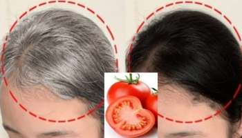 ಟೊಮೆಟೋಗೆ ಈ ವಸ್ತು ಬೆರೆಸಿ ಹಚ್ಚಿದ್ರೆ ಮೂರೇ ನಿಮಿಷದಲ್ಲಿ ಕಪ್ಪಾಗುತ್ತೆ ಬಿಳಿಕೂದಲು! 