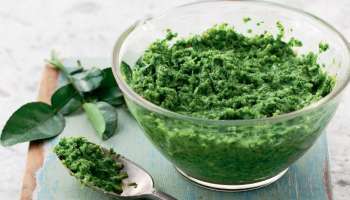 ಬಿಳಿಕೂದಲನ್ನು ಬುಡದಿಂದ ಕಪ್ಪಾಗಿಸುತ್ತೆ ಈ ಪೇಸ್ಟ್‌ ! ಈ ಎಲೆಯನ್ನು ರುಬ್ಬಿ ತಲೆಗೆ ಹಚ್ಚಿದ್ರೆ ಮತ್ತೆಂದೂ ಬೆಳ್ಳಗಾಗೋದೇ ಇಲ್ಲ