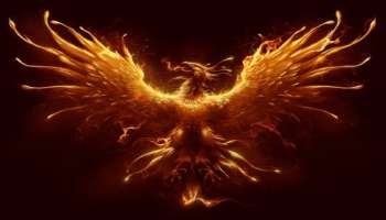 ಇದೊಂದು ಹಕ್ಕಿಯ ಫೋಟೋ ಮನೆಯ ಈ ದಿಕ್ಕಿನಲ್ಲಿ ಹಾಕಿದರೆ  ಬೆಟ್ಟದಷ್ಟಿದ್ದ ಸಾಲ ಕೂಡಾ ಮಂಜಿನಂತೆ ಕರಗುವುದು ! 