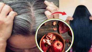 ಈ ಹಣ್ಣಿನ ಸಿಪ್ಪೆಯಿಂದ ಎರಡೇ ನಿಮಿಷದಲ್ಲಿ ಬೆಳ್ಳಗಿರುವ ಕೂದಲು ಕಪ್ಪು ಬಣ್ಣಕ್ಕೆ ಮರಳುತ್ತೆ! ಒಮ್ಮೆ ಟ್ರೈ ಮಾಡಿ 