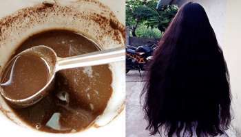 ದುಬಾರಿ ಹೇರ್‌ ಡೈ ಬೇಡ.. ತೆಂಗಿನೆಣ್ಣೆಗೆ ಈ ಪುಡಿ ಬೆರೆಸಿ ಹಚ್ಚಿದ್ರೆ ಐದೇ ನಿಮಿಷದಲ್ಲಿ ಬಿಳಿಕೂದಲು ಶಾಶ್ವತವಾಗಿ ಕಪ್ಪಾಗುತ್ತವೆ! 