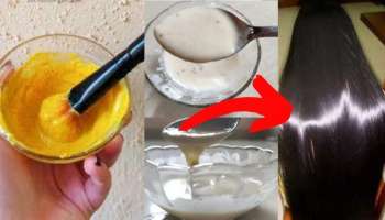 ಈರುಳ್ಳಿಗೆ ಈ ಕಾಳು ಬೆರೆಸಿ ಅರೆದು ಹಚ್ಚಿ 10 ನಿಮಿಷ ಬಿಟ್ಟು ತೊಳೆಯಿರಿ, ಬಿಳಿ ಕೂದಲು ಗಾಢ ಕಪ್ಪಾಗುವುದು!