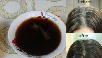 ಈ ನೀರಿನಲ್ಲಿ ಶಾಂಪೂ ಬೆರೆಸಿ ತಲೆ ತೊಳೆದರೆ ಒಂದೇ ಬಾರಿಗೆ ಕಪ್ಪಾಗುತ್ತೆ ಬಿಳಿ ಕೂದಲು 