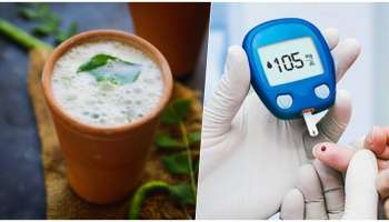 ಮಜ್ಜಿಗೆ ಜೊತೆ ಈ ಪುಡಿ ಬೆರೆಸಿ ಕುಡಿದರೆ ಮಧುಮೇಹಿಗಳಿಗೆ ಆರೋಗ್ಯಕ್ಕೆ ಒಳ್ಳೆಯದು! ಸಕ್ಕರೆ ರೋಗಕ್ಕೆ ಇದು ಔಷಧಿ