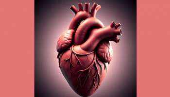 ನಿಮ್ಮ ಹೃದಯ ಸ್ಟ್ರಾಂಗ್‌ ಆಗಿರಬೇಕೇ.. ಅಂದ್ರೆ ಇಲ್ಲಿರೋ 6 ಹೆಲ್ದಿ ಫುಡ್ಸ್‌ ಫಾಲೋ ಮಾಡಿ..!