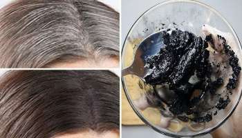 ದುಬಾರಿ ಹೇರ್‌ ಕಲರ್‌ ಬದಲು.. ಸ್ನಾನಕ್ಕೂ ಮುನ್ನ ಈ ಪುಡಿಯ ಪೇಸ್ಟ್‌ ತಲೆಗೆ ಹಚ್ಚಿಕೊಂಡ್ರೆ ಶಾಶ್ವತವಾಗಿ ಕಪ್ಪಾಗುತ್ತವೆ ಬಿಳಿ ಕೂದಲು!