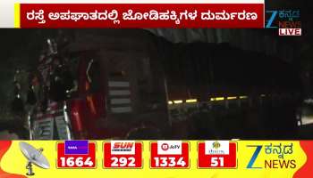 Pair of Birds Killed in Road Accident