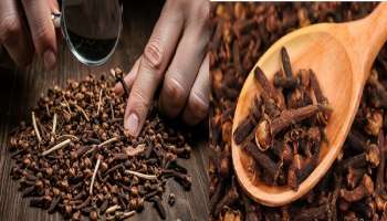 ಮಾರುಕಟ್ಟೆಯಲ್ಲಿ ಅಸಲಿಯಂತೆಯೇ ಕಾಣುವ ನಕಲಿ ಲವಂಗಗಳನ್ನು ತಿಂದರೆ ಏನಾಗುತ್ತೆ ಗೊತ್ತಾ? ಲಿವರ್ ಹಾಳಾಗೋದನ್ನು ತಡೆಯಲು ಈ ರೀತಿ ಮಾಡಿ!