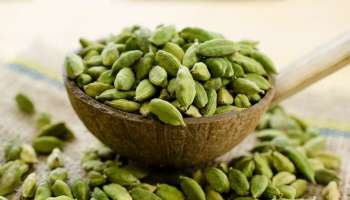 ಈ ಪುಟ್ಟ ಕಾಳನ್ನು ಬೆಳಗೆದ್ದ ಕೂಡಲೇ ಜಗಿದರೆ.. ದಿನವಿಡಿ ಕಂಟ್ರೋಲ್‌ನಲ್ಲಿರುತ್ತೆ ಬ್ಲಡ್‌ ಶುಗರ್‌!