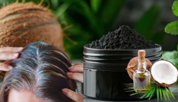 ಹೇರ್‌ ಡೈ ಬೇಕಿಲ್ಲ... ತೆಂಗಿನೆಣ್ಣೆಯಲ್ಲಿ ಈ ಪುಡಿ ಬೆರೆಸಿ ಹಚ್ಚಿದರೆ ಕೂಡಲೇ ಕಪ್ಪಾಗುತ್ತೆ ಬಿಳಿ ಕೂದಲು