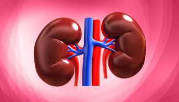 ಬೆಳಿಗ್ಗೆ ಎದ್ದ ತಕ್ಷಣ ದೇಹದಲ್ಲಿ ಈ 5 ಲಕ್ಷಣಗಳು ಕಂಡುಬಂದರೆ ನಿಮ್ಮ ಮೂತ್ರಪಿಂಡ ಸಮಸ್ಯೆಯಲ್ಲಿದೆ ಅಂತ ಅರ್ಥ.! 