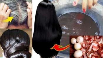 ಹೇರ್‌ ಡೈ ಬೇಡವೇ ಬೇಡ.. ಈ ತರಕಾರಿ ರಸವನ್ನು ಕೂದಲಿಗೆ ಲೇಪಿಸಿದರೆ ಬೆಳ್ಳಗಿರುವ ಕೂದಲು ಕಪ್ಪಾಗೋದು ಗ್ಯಾರಂಟಿ!