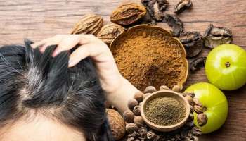 ಹೇರ್‌ ಡೈ ಅಗತ್ಯವಿಲ್ಲ, ಈ ಪುಡಿಯನ್ನು ನೀರಿಗೆ ಬೆರೆಸಿ ಹಚ್ಚಿದ್ರೆ.. ಬುಡದಿಂದಲೇ ಕಪ್ಪಾಗುತ್ತೆ ಬಿಳಿ ಕೂದಲು!