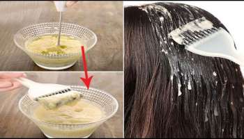 ಹೇರ್‌ ಕಲರ್‌ ಬದಲು.. ಮೊಸರಿಗೆ ಈ ಪುಡಿ ಬೆರೆಸಿ ಹಚ್ಚಿದ್ರೆ ಬಿಳಿಕೂದಲು ಶಾಶ್ವತ್ವಾಗಿ ಕಪ್ಪಾಗುತ್ತವೆ!   