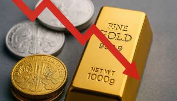 2025‌ರಲ್ಲಿ ಆಭರಣ ಖರೀದಿಯನ್ನೇ ಕಷ್ಟವಾಗಿಸಿದ ಚಿನ್ನದ ಬೆಲೆಯಲ್ಲಿ ಮುಂದಿನ ವರ್ಷ  ಆಗುವ ಮಹತ್ವದ ಬದಲಾವಣೆಗಳೇನು? ಲಾಭನಷ್ಟಗಳ ಬಗ್ಗೆ ತಿಳಿಯಿರಿ