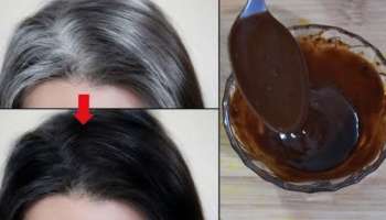 ನಿಂಬೆ ರಸಕ್ಕೆ ಈ ಎಲೆಯ ಪುಡಿ ಬೆರೆಸಿ ಹಚ್ಚಿದರೆ ಬಿಳಿ ಕೂದಲು ಗಾಢ ಕಪ್ಪಾಗುವುದು!