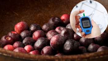 ಈ ಪುಟ್ಟ ಹಣ್ಣು ಒಮ್ಮೆ ತಿಂದರೆ 30 ದಿನಗಳ ಕಾಲ ಕಂಟ್ರೋಲ್‌ನಲ್ಲಿರುತ್ತೆ ಬ್ಲಡ್‌ ಶುಗರ್‌!