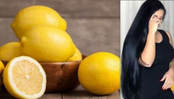 ನಿಂಬೆರಸದಲ್ಲಿ ಈ ಪುಡಿಯನ್ನು ಬೆರೆಸಿ ಹಚ್ಚಿದರೆ ಬೆಳ್ಳಗಿರುವ ಕೂದಲು ಗಾಢ ಕಪ್ಪಾಗುತ್ತೆ