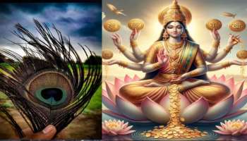 ಮನೆಯ ಈ ದಿಕ್ಕಿನಲ್ಲಿ ನವಿಲು ಗರಿ ಇಟ್ಟರೆ ಹರಿದು ಬರುವುದು ಸುಖ ಸಮೃದ್ದಿ : ಒಂದೇ ಒಂದು ರೂಪಾಯಿ  ಸಾಲ ಉಳಿಯದು 