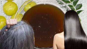 ಹೇರ್‌ ಡೈ ಬೇಡವೇ ಬೇಡ.. ಕಲೋಂಜಿ ಎಣ್ಣೆಯಲ್ಲಿ ಇವೆರಡನ್ನು ಬೆರೆಸಿ ಹಚ್ಚಿದರೆ ತ್ವರಿತವಾಗಿ ಕಪ್ಪಾಗುತ್ತೆ ಬಿಳಿ ಕೂದಲು