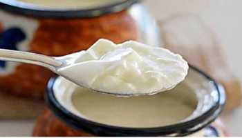 ಚಳಿಗಾಲದಲ್ಲಿ ಮೊಸರು ತಿನ್ನಲು ಸರಿಯಾದ ಸಮಯ ಯಾವುದು?