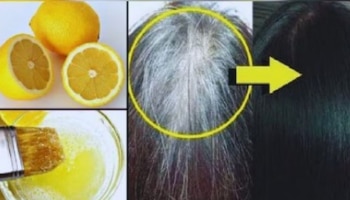 ಯಾವುದೇ ಹೇರ್ ಡೈ ಬೇಡ... ನಿಂಬೆ ರಸಕ್ಕೆ ಈ ಪುಡಿ ಸೇರಿಸಿ ಹಚ್ಚಿದ್ರೆ ಬಿಳಿ ಕೂದಲು ಕಪ್ಪಾಗಿ ಹೊಳೆಯುತ್ತವೆ