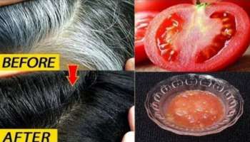 ಬಿಳಿಕೂದಲನ್ನು ಮೂರೇ ನಿಮಿಷದಲ್ಲಿ ಕಪ್ಪಾಗಿಸುತ್ತೆ ಅರ್ಧ ತುಂಡು ಟೊಮೆಟೋ! ಬಳಸುವ ವಿಧಾನ ಹೀಗಿರಲಿ..