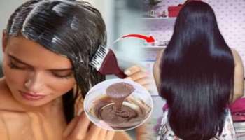 ಹೇರ್‌ ಡೈ ಬೇಡ! ಶಾಂಪೂ ಜೊತೆ ಈ 3 ವಸ್ತುಗಳನ್ನು ಮಿಕ್ಸ್‌ ಮಾಡಿ ಹಚ್ಚಿದ್ರೆ ಕೆಲವೇ ನಿಮಿಷದಲ್ಲಿ ಗಾಢ ಕಪ್ಪಾಗುತ್ತೆ ಬಿಳಿ ಕೂದಲು