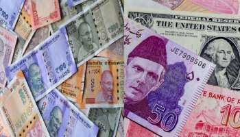 ಭಾರತದ 100 ರೂಪಾಯಿಗೆ ಪಾಕಿಸ್ತಾನದಲ್ಲಿರುವ ಬೆಲೆ ಎಷ್ಟು ಗೊತ್ತಾ..? ಕರೆಯುವ ಹೆಸರು ಒಂದೇಯಾದರೂ ಮೌಲ್ಯದಲ್ಲಿದೆ ಭಾರಿ ವ್ಯತ್ಯಾಸ!