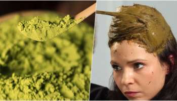 ಮೆಹಂದಿ ಜೊತೆ ಇದೊಂದು ಹಣ್ಣು ಬೆರಸಿ ಹಚ್ಚಿದ್ರೆ ಬಿಳಿ ಕೂದಲು ನಾಶ.! ಶೈನ್‌ ಸಹ ಬರುತ್ತೆ 