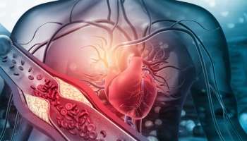 ಹೃದಯಘಾತವಾಗುವ 30 ನಿಮಿಷಗಳ ಮುನ್ನ ದೇಹ ಕೊಡುತ್ತೆ 5 ಸೂಕ್ಷ್ಮ ಸೂಚನೆ! ಈ ಲಕ್ಷಣಗಳು ಕಾಣಿಸಿಕೊಂಡರೆ ಹಾರ್ಟ್ ಅಟ್ಯಾಕ್‌ ಆಗುತ್ತೆ ಎಚ್ಚರ..