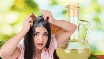 ಹೇರ್‌ ಡೈ ಬೇಡವೇ ಬೇಡ! ತೆಂಗಿನೆಣ್ಣೆಯಲ್ಲಿ ಈ ಪುಟ್ಟ ಕಾಳು ಬೆರೆಸಿ ಹಚ್ಚಿದರೆ ಒಂದೇ ಕ್ಷಣದಲ್ಲಿ ಗಾಢ ಕಪ್ಪಾಗುತ್ತೆ ಬಿಳಿ ಕೂದಲು