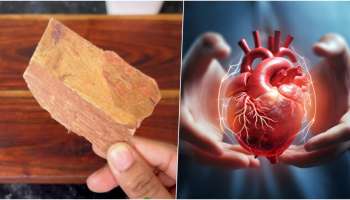 ಈ ತೊಗಟೆ ಕಸ ಅಂತ ಭಾವಿಸಿದರೆ ನೀವು ದಡ್ಡರು.. ಇದು ಹೃದಯ ಕಾಯಿಲೆಗೆ ರಾಮಬಾಣ.!