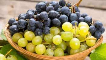 ಈ ಕಾಯಿಲೆ, ತೊಂದರೆಗಳು ಇರುವವರು ದ್ರಾಕ್ಷಿಯಿಂದ ದೂರವಿರಿ.. ಅಪ್ಪಿತಪ್ಪಿ ತಿಂದರೂ ಅಷ್ಟೇ!