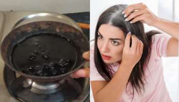 ಹೇರ್‌ ಡೈ ಬೇಡವೇ ಬೇಡ: ಈ 3 ಪುಡಿ ಬೆರೆಸಿ ಲೇಪಿಸಿದರೆ ತಕ್ಷಣವೇ ಬೆಳ್ಳಗಿರುವ ಕೂದಲು ಗಾಢ ಕಪ್ಪಾಗೋದು ಗ್ಯಾರಂಟಿ