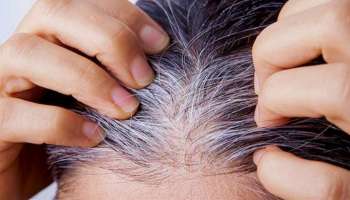 ಬಿಳಿ ಕೂದಲು ಬರಲು ನೀವು ಮಾಡುವ ಈ ಒಂದೇ ಒಂದು ತಪ್ಪು ಕಾರಣ..! ತಕ್ಷಣವೇ ಎಚ್ಚೆತ್ತುಕೊಳ್ಳಿ