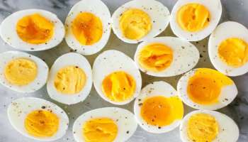 ಬೇಯಿಸಿದ ಮೊಟ್ಟೆಗಳನ್ನು ಎಷ್ಟು ದಿನ ಇಟ್ಟುಕೊಂಡು ತಿನ್ನಬಹುದು ಗೊತ್ತಾ..? ಸತ್ಯ ತಿಳಿದ್ರೆ ಶಾಕ್‌ ಆಗ್ತಿರಾ