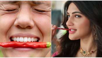 ಬ್ಯಾಡಗಿ ಮೆಣಸಿನಕಾಯಿ ಅಲ್ಲ, ಇದೇ ನೋಡಿ ವಿಶ್ವದ ಅತ್ಯಂತ ಖಾರದ ಚಿಲ್ಲಿ..! ನಾಲಿಗೆಗೆ ಟಚ್‌ ಆದ್ರೆ ಮುಗೀತು..